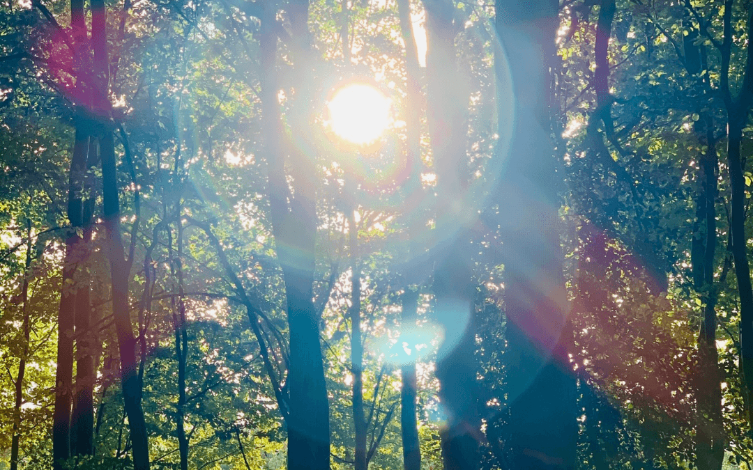 You, my dear, did not come here to play small